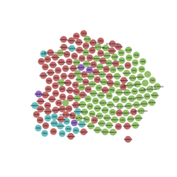 Dataviz: ¿De qué sectores provienen los y las participantes de nuestra red?